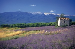 The stunning scenery of Mont Ventoux in Vaucluse
