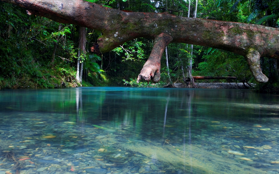 Seductive blue water of Cooper creek in Daintree Forest, Port Douglas